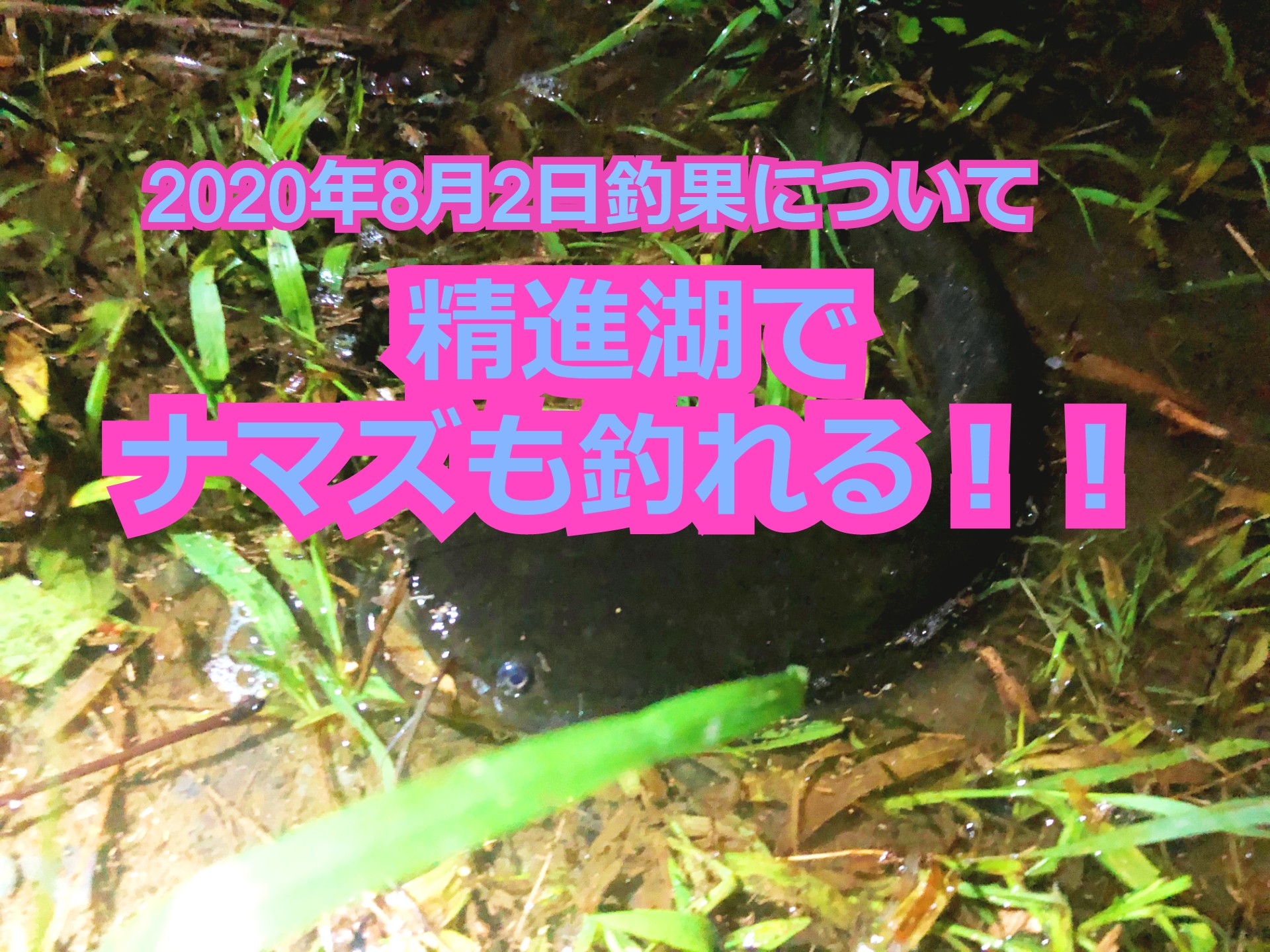 精進湖 バス釣り釣果について年8月2日に釣れたポイントとおすすめルアーについて Arkブログ