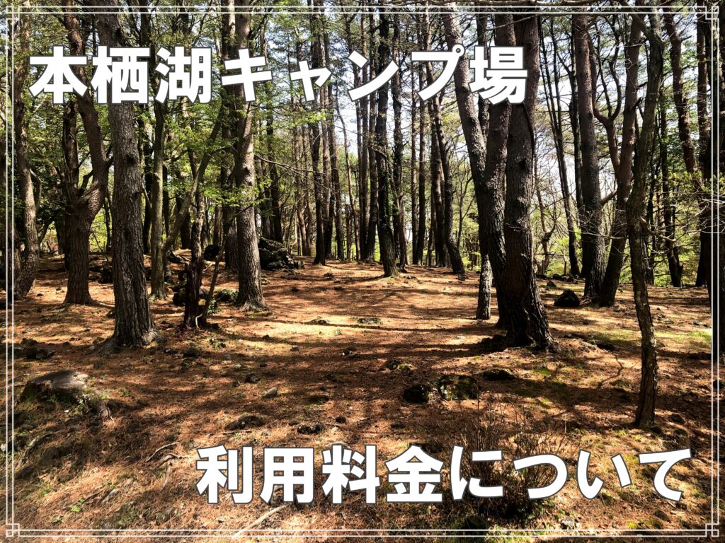 令和3年度版 山梨県 本栖湖キャンプ場について キャンプ場のすべてを解説します Arkブログ