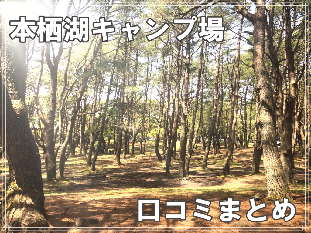 直火ok ゴミ捨て可 山梨県 本栖湖キャンプ場について 初めて利用する方向けに説明します Arkブログ